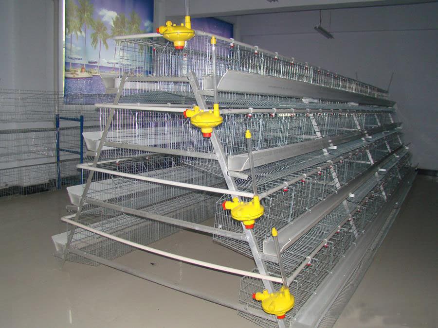 Poultry Cage for Layer Chicken Farm